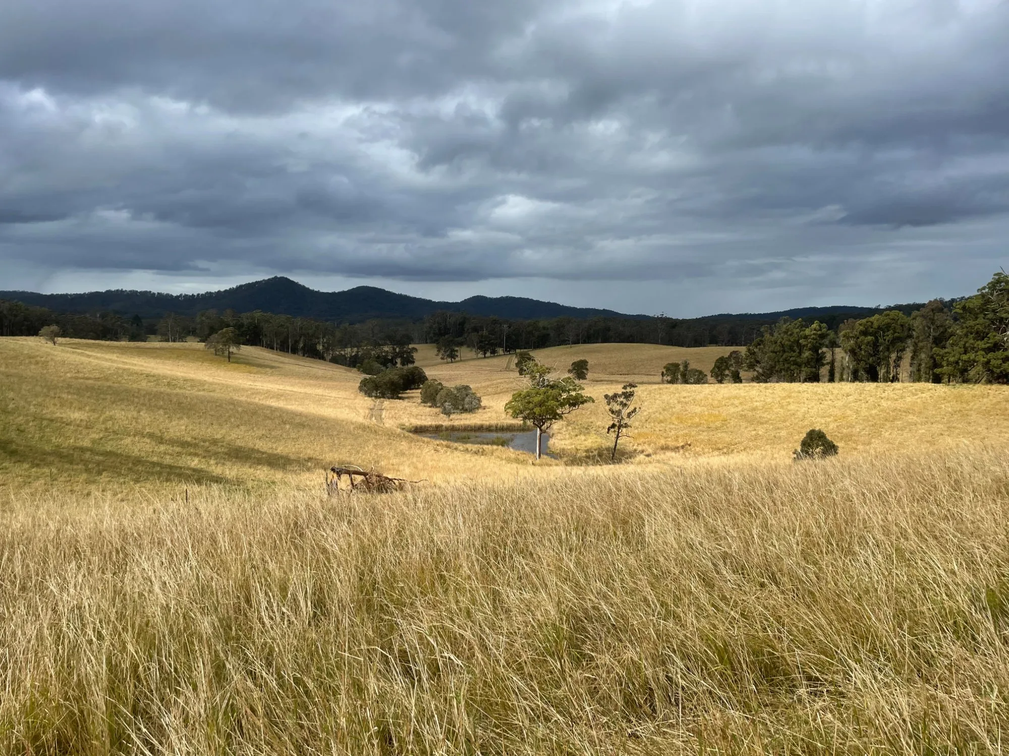 Rachel's Farm gallery 1