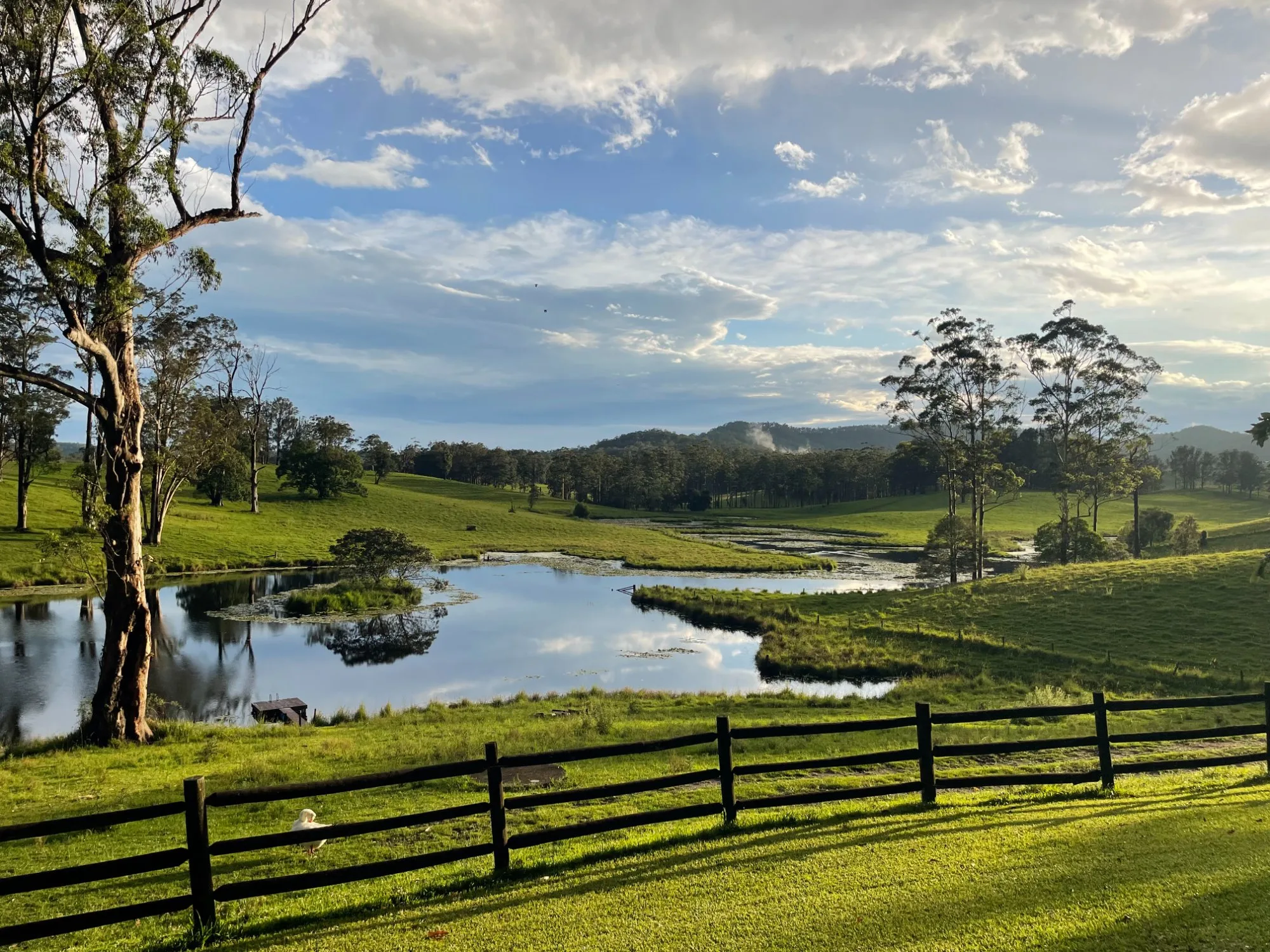 Rachel's Farm gallery 6
