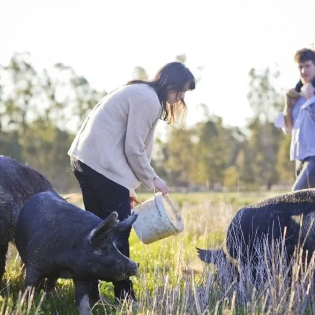 Bundarra Farm gallery 7