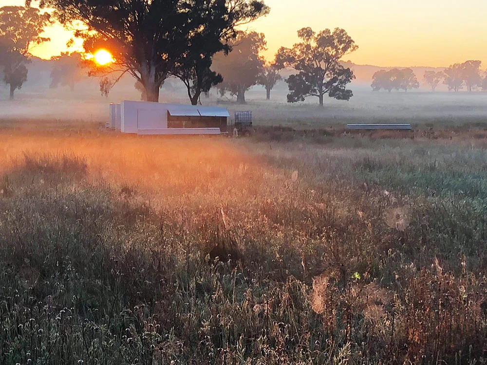 Farmer Brown gallery 2
