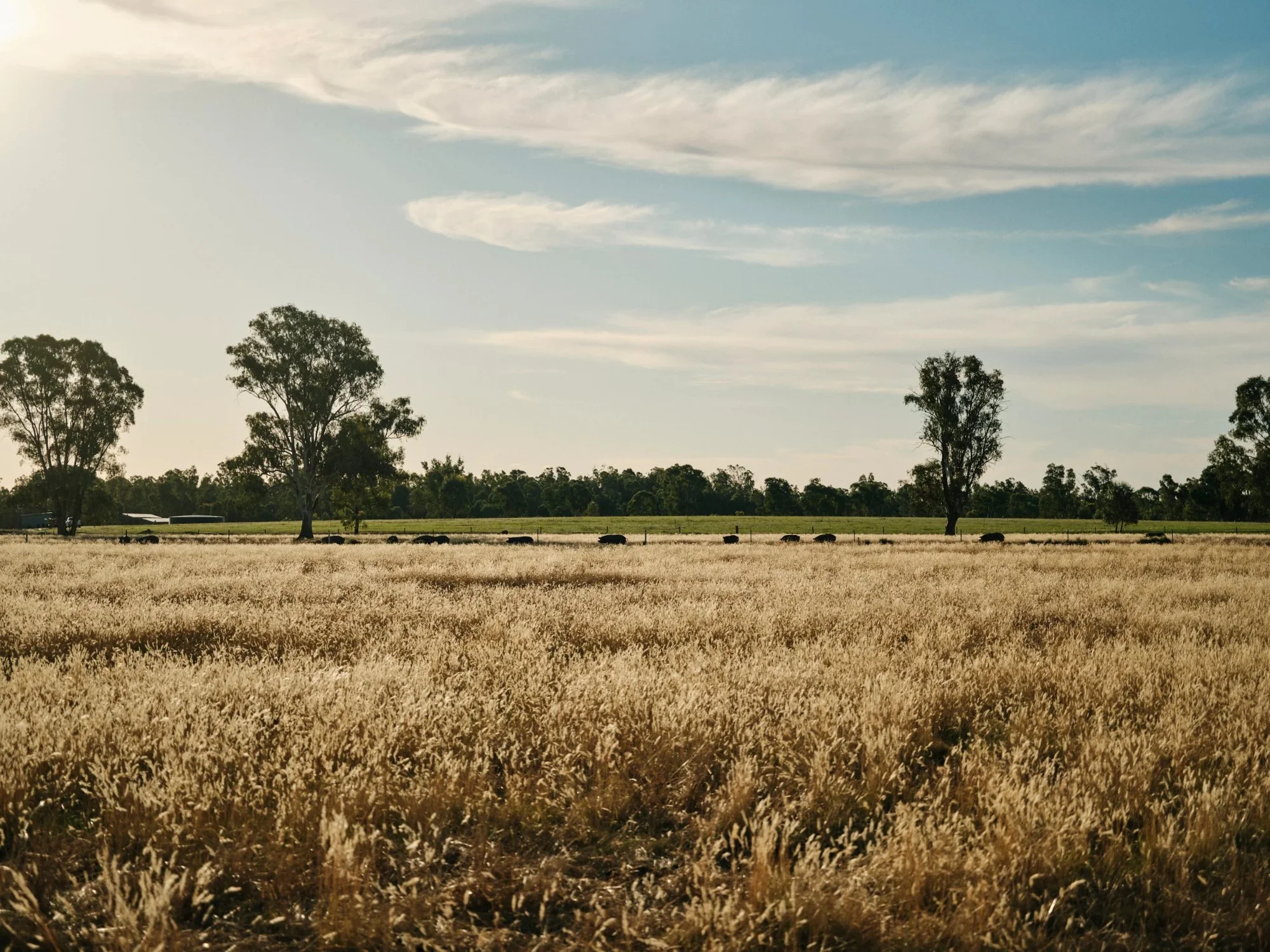 Bundarra Farm farm