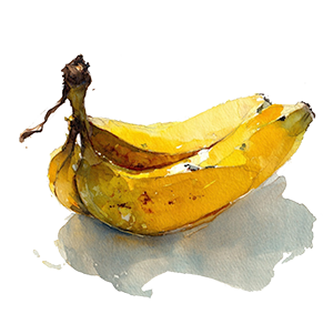 Fruits