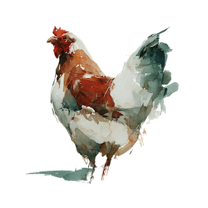 Poultry