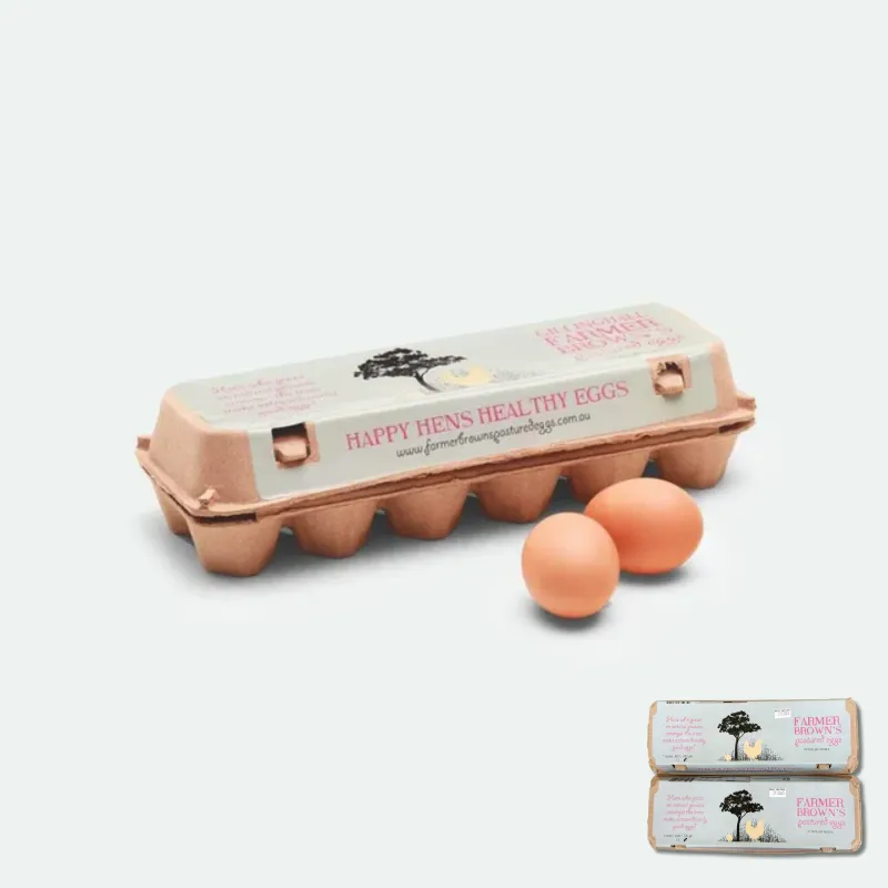 Pasture-Raised Eggs 700g - 2 doz